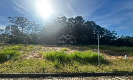Terreno em Loteamento QUINTA DAS PALMEIRAS, Garopaba/SC