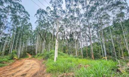 Terreno para Venda em Doutor Ulysses / PR no bairro Centro