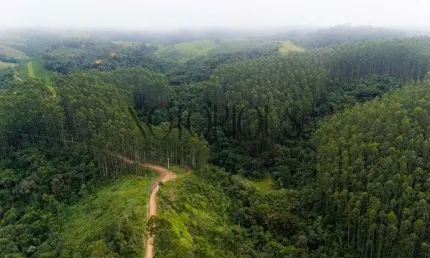 Terreno para venda em doutor ulysses / pr no bairro centro