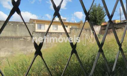Casa com 4 quartos à venda na Rua Panema, Renascença, Belo Horizonte