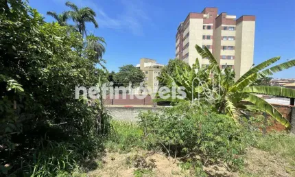 Terreno comercial à venda na Rua Antônio Ferreira de Barros, Céu Azul, Belo Horizonte