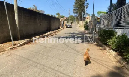 Casa com 3 quartos à venda na Rua Joaquim Carlos Martins, Campinho de Baixo, Lagoa Santa
