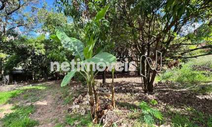 Terreno à venda na Rua Etervino Tibúrcio Henriques, Garças, Belo Horizonte
