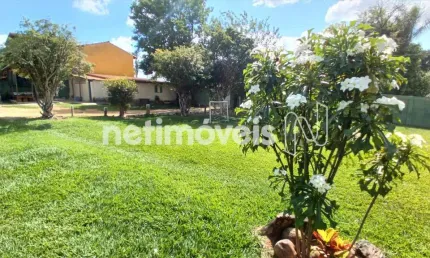 Terreno à venda na Rua Três, Chácara Novo Horizonte, Contagem