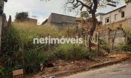 Terreno à venda na Rua Araras, Maria Adélia, Santa Luzia