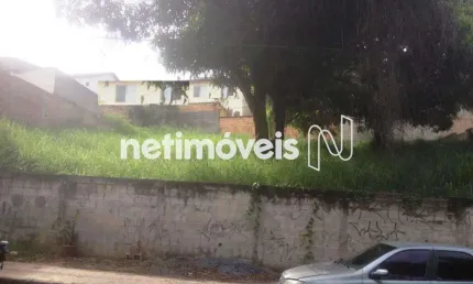 Terreno à venda na Rua dos Bacuraus, Vila Cloris, Belo Horizonte