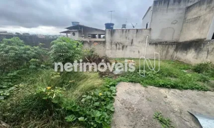 Terreno à venda na Rua Zarife De Oliveira Dias, Novo Progresso, Contagem