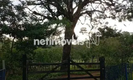 Chácara / sítio com 3 quartos à venda na Estrada Estrada Para Ribeirão Dos Cornélios, Zona Rural, Itaguara