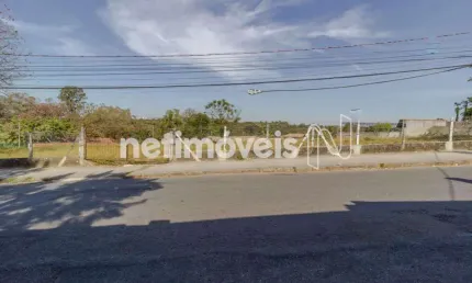 Terreno comercial para alugar na Rua Pedro Celestino Mendonça, Braúnas, Belo Horizonte