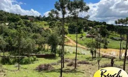 Chácara em campo alegre a venda com 100.000 m² com 2 nascentes, lago, araucárias, plantações, área de heliporto, campo de futebol/vôlei, etc..
