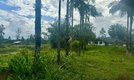 Chácara / sítio à venda no Centro, Garuva 