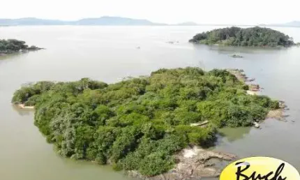 Ilha à venda em São José (Florianópolis) - Buch Imóveis