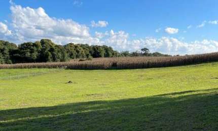 Terreno à venda no Lageado, Campo Alegre  por R$ 980.000