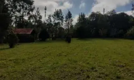 Chácara / sítio à venda no Faxinal, Campo Alegre 