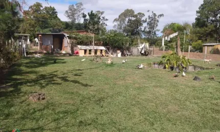Sítio 2 dormitórios à venda Parque Florestal Itapuã Viamão/RS