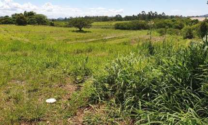 Terreno à venda na Avenida Edgar Pires de Castro, --, Lageado, Porto Alegre