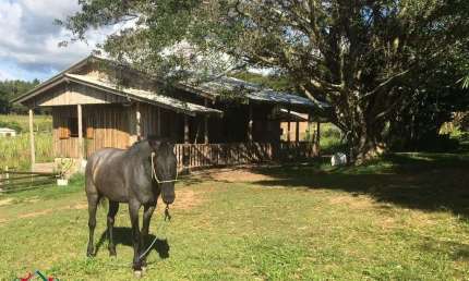Chácara / sítio com 3 quartos à venda na Rua Juvêncio Peixoto, --, Branquinha, Viamão