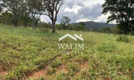 Fazenda com 2 salas à venda na Rua Pinheiros Chagas, Vila Mariana, Paracatu