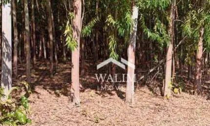 Fazenda com 2 salas à venda na Zona Rural, Baldim 