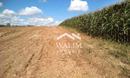 Fazenda Canteiros: Um Paraíso Agrícola no Sul de Minas Gerais