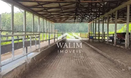 Fazenda com 2 salas à venda na Zona Rural, São Tiago 