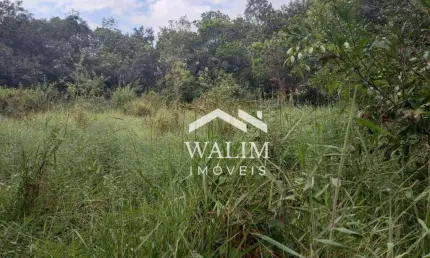 Sítio à Venda, 5 Hectares, 50.000 m² em Passa Tempo - Zona Rural