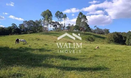 Fazenda à Venda na Zona Rural de Oliveira, MG - 34 Hectares : Uma Propriedade Completa para o Agronegócio!