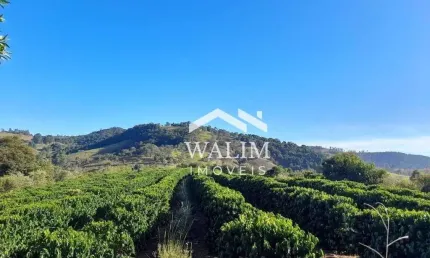 'fazenda de 55 hectares à venda em carmópolis de minas: oportunidade de investimento no polo agrícola de tomate em minas gerais'