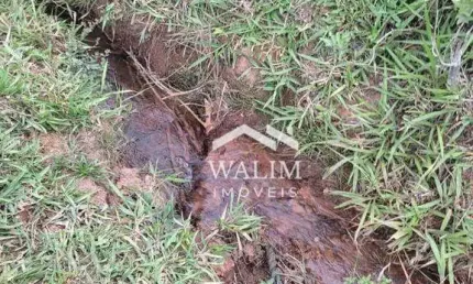 Sítio em Carmopólis de Minas, MG: o Paraíso para Quem Ama a Natureza