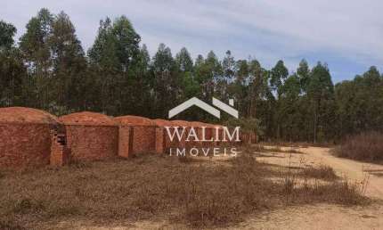 Fazenda à Venda em Abaeté, MG - 80 Hectares com Eucalipto em Segundo Corte!