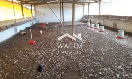 Fazenda com 1 sala à venda na Zona Rural, Passa Tempo 