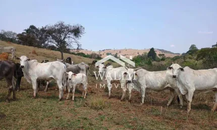 Fazenda à venda, 500000 m² por R$ 2.800.000,00 - Zona Rural - Crucilândia/MG