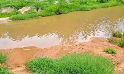 ?? Terreno Agrícola à Beira da Rodovia em Esmeraldas, MG – Potencial para Hortaliças e Cultivos ??