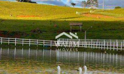 Fazenda de Alto Padrão em Bom Despacho - 95 Hectares