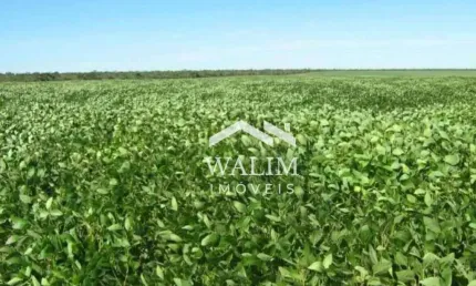 Fazenda de 1.032 Hectares à Venda em Bonito de Minas, MG