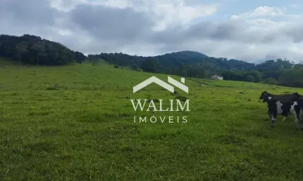 ??? Terreno Excepcional de 8 ha em Itaguara, MG - Ideal para Horta e Produção ??