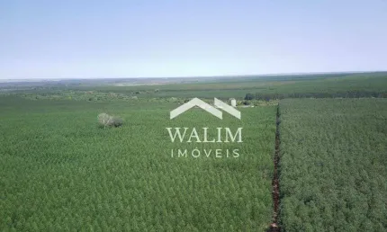 Fazenda à venda, 4 m² por R$ 180.000.000,00 - Zona Rural - Araguaiana/MT