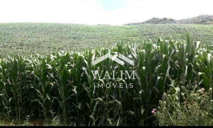 Oportunidade Única! Fazenda Produtiva de 2.320 alqueires no Vale do Ribeira - SP