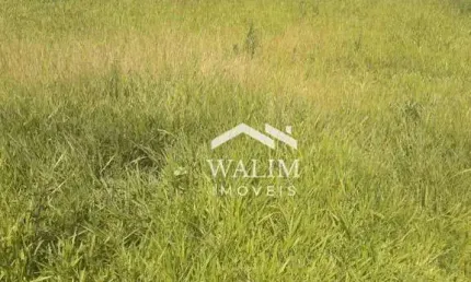 ?? terreno de 183 hectares em iguatama/mg: potencial agrícola e localização estratégica!??
