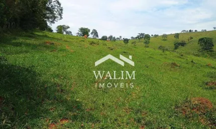 ?? Fazendinha 32 Hectares em Oliveira/MG - Charme Rural e Potencial Produtivo ??