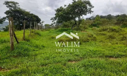 FAZENDA DE 55 HECTARES EM OLIVEIRA – OPORTUNIDADE ÚNICA!