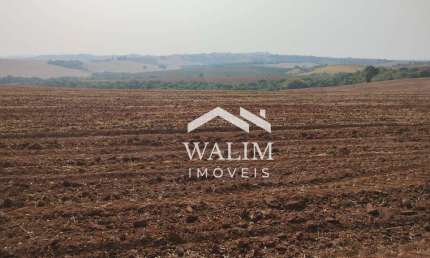 **Fazenda de 350 Hectares para Cultivo de Café em Cristais/MG**