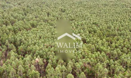 Fazenda à venda, 9960000 m² por R$ 12.000.000,00 - Zona Rural - Coração de Jesus/MG