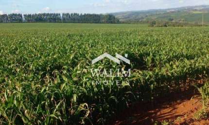 Oportunidade Imperdível: Fazenda de 500 Hectares no Campo das Vertentes, MG