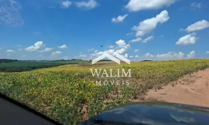 Fazenda de 484 Hectares em Carmo do Rio Claro, MG – Potencial Máximo para Lavouras e Investidores do Agronegócio