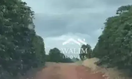 Fazenda com 2 salas à venda na Zona Rural, Oliveira 