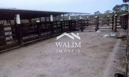 ??? FAZENDA DE EXCELÊNCIA À VENDA NO GERIAS, 163 Hectares (SANTANA DE PIRAPAMA) ???