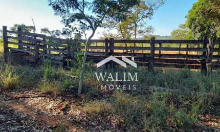 FAZENDA DE 78 HECTARES À VENDA PRÓXIMO A SÃO JOSÉ DE ALMEIDA – TERRA FÉRTIL, ÁGUA ABUNDANTE E LUCRO IMEDIATO!