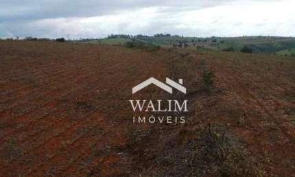 FAZENDA DE 240 HECTARES À VENDA EM BAMBUÍ/MG – TERRA FÉRTIL PARA LAVOURAS E AGROINDÚSTRIA!