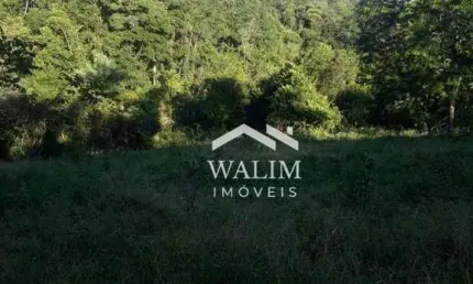 Oportunidade Imperdível: Fazenda Produtiva de 48 Hectares em Esmeraldas, MG
